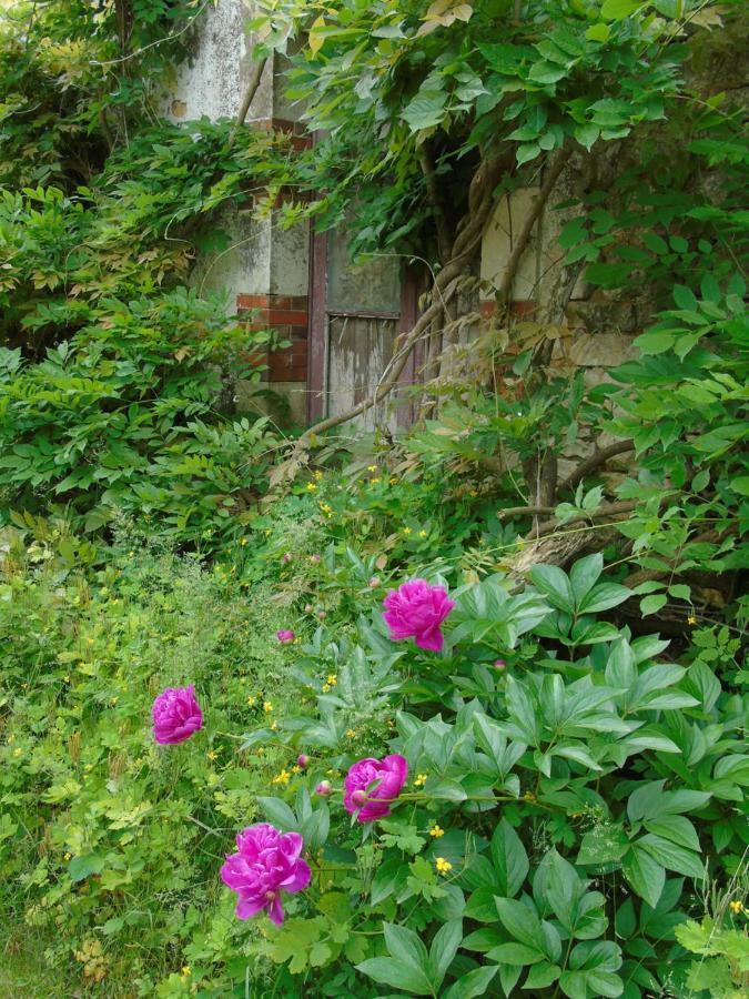 Eco Logis De Chantegrolle 샹파뉴 무똥 외부 사진